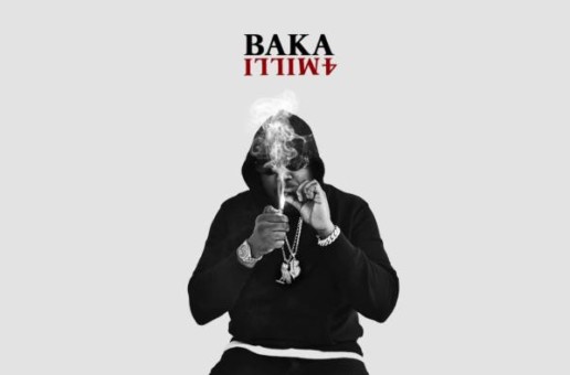 Baka Not Nice – I’m A Dog