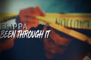 Flippa -Been Through It