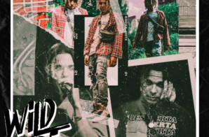 Banko Dupree – Wild Side