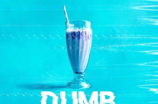 Blue Diamond – Dumb Ft. Cominaharrr