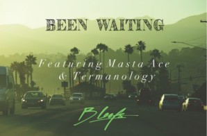 B Leafs – Been Waiting ft. Masta Ace & Termanology
