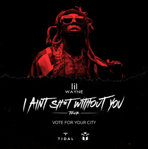 lilwayne-496x500 Lil Wayne Announces "I Ain't Shit Without You" Tour  