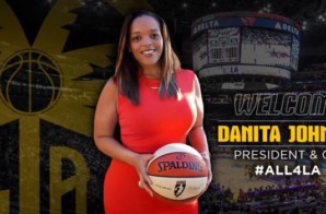 The Los Angeles Sparks Have Hired Danita Johnson as Their New President and COO