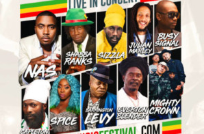 Julian Marley & Everton Blender Join Nas, Shabba Ranks, Sizzla & More at 9 Mile Music Festival in Miami!