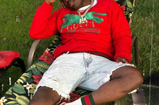 Troy Ave – Streets is a Myth (Video)