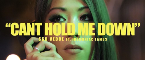 SGD-Vedoe-feat.-Insomniac-Lambs-Cant-Hold-Me-Down-500x207 SGD Vedoe - Can’t Hold Me Down Ft. Insomniac Lambs (Video)  