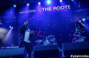 Event Recap: The 12th Annual Roots Picnic