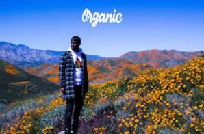 Casey Veggies – Organic (Album) Ft. YG, E-40, Dom Kennedy & More