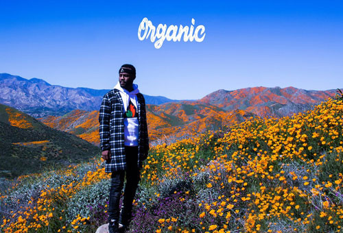 Casey Veggies – Organic (Album) Ft. YG, E-40, Dom Kennedy & More