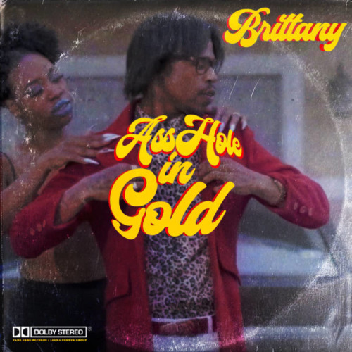 IMG_1277-500x500 Asshole In Gold - Brittany (Video)  