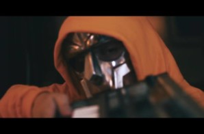 Rudy Will – Silk Cactus (Video)