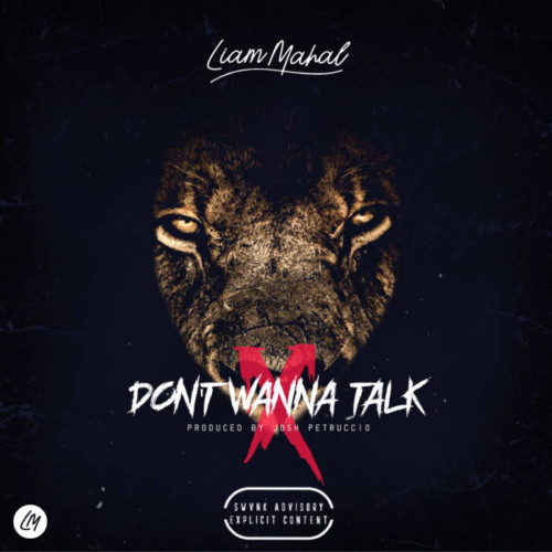 liammahal-500x500 Liam Mahal - Don’t Wanna Talk (Video)  