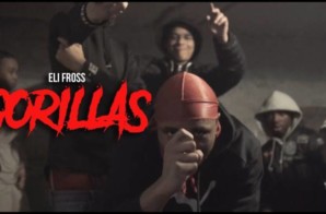 Eli Fross – Gorillas (Video By MeetTheConnectTv)