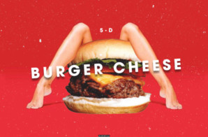5-D – Burger Cheese