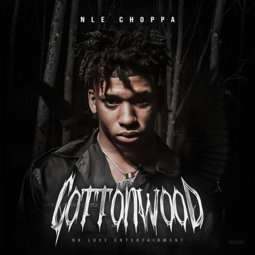 nle-choppa-500x500 NLE Choppa - Cottonwood (Album Stream)  