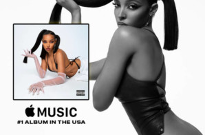 Congratulations, Tinashe for the #1 Album on Apple Music USA!