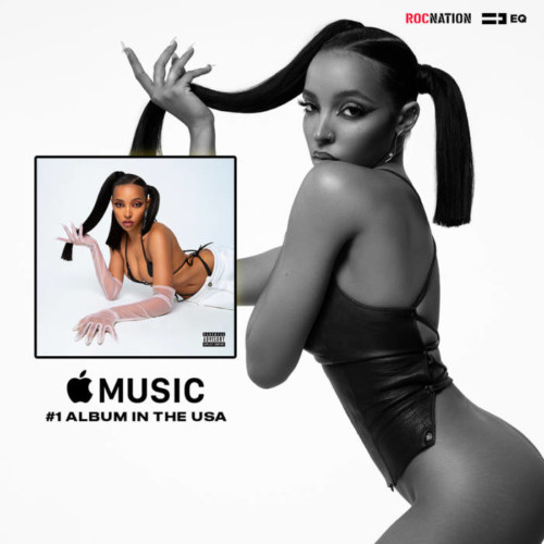 unnamed-500x500 Congratulations, Tinashe for the #1 Album on Apple Music USA!  