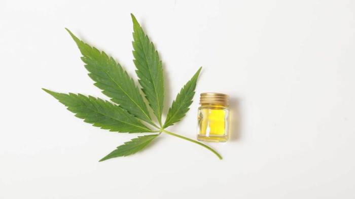 cbd-oil-cannabis-leaf-1296x728-1 CBD Oil: Essential Remedy for Musicians  