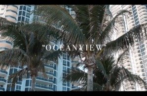 Littlejohn4k – Ocean View (Video)