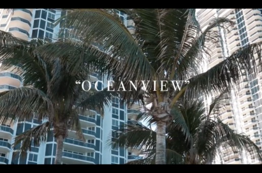 ​Littlejohn4k – Ocean View (Video)