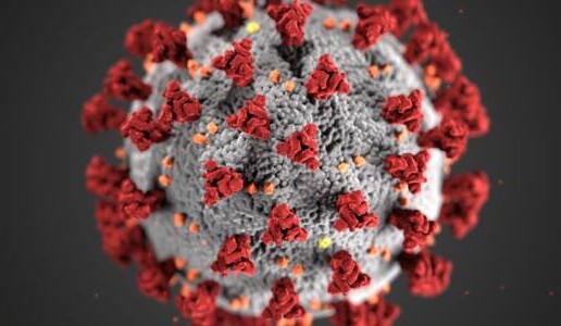 Coronavirus Update: Covid-19 Vaccine before the year is over?