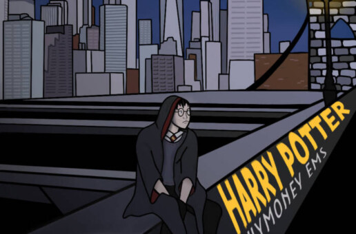 ShyMoney EMS – Harry Potter