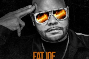 Fat Joe – The Making Of A Don (Vol. 6)