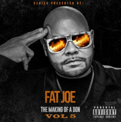 fatjoe-496x500 Fat Joe - The Making Of A Don (Vol. 6)  