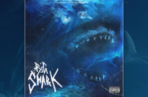 YUNG MARLEY – BIG SHARK (Album with Lil Yatchty & MORE) AND SHARK WEEK EVENT RECAP