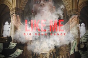 Big Bank Bandz – “Like Me”
