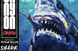 Canyon ft. Raekwon – “Shark Tank”