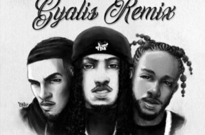 Capella Grey Releases Official Gyalis Remix ft. Chris Brown and Popcaan