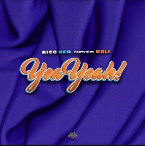IMG_4111-495x500 WOLFPACK GLOBAL MUSIC ARTIST RICO RED UNLEASHES NEW SINGLE/VISUAL “YEAH YEAH” FT. KALI  