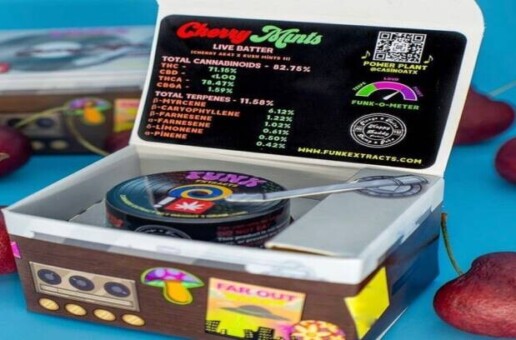 Oregon’s elite Cannabis Farms Companies recruit rising artist CasinoATX to release his very own Strain