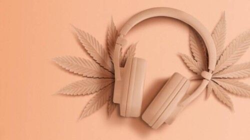 Flowertown-Music-on-high-why-cannabis-and-sound-go-hand-in-hand-Masthead-500x281 cannibus music  