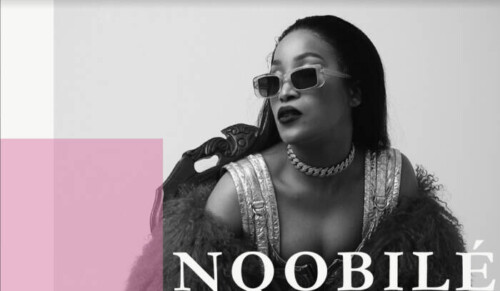 Screen-Shot-2022-04-18-at-5.10.41-PM-500x291 Nqobilé Is The Next British-African Megastar With New Single "Shake" ft. Xavier  