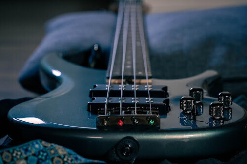 unnamed-1-19-500x333 7 Interesting Facts About The Bass Guitar  