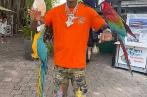 Music artist CoCaine is the next artist to blow in the music industry