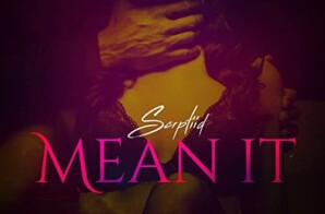 Scrptiid –  “Mean It”