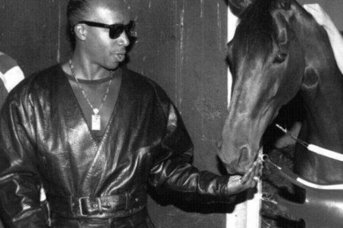 hammer-horses-500x333 MC Hammer And His Passion For Horse Racing  