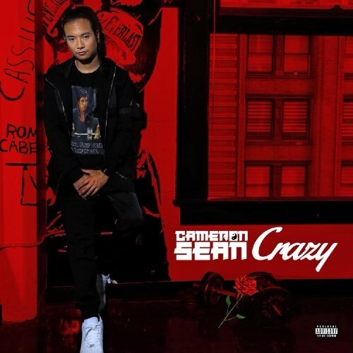Cameron Grey Rapper Rapper Cameron Sean Shines on UBC TV’s “Why You Mad Yo?” Comedy Tour ...