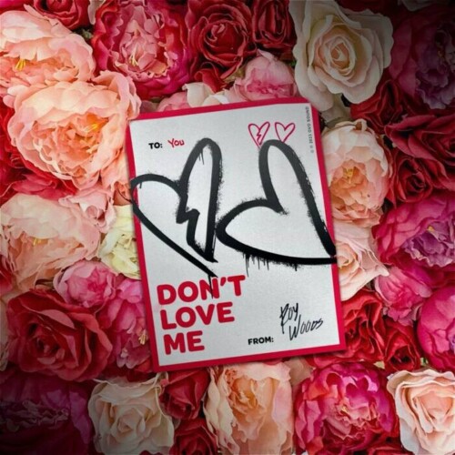 pasted-image-0-500x500 Roy Woods "Don't Love Me" New VISUAL ONLINE NOW  