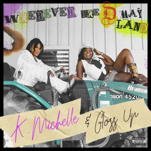unnamed-41-500x500 K. MICHELLE AND GLOSS UP DROP "WHEREVER THE D MAY LAND"  