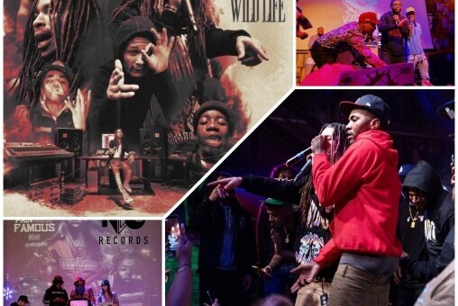 NDO Records Makes an Impact on The Independent Music Scene