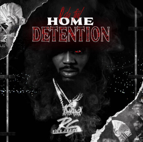 unnamed-2-13-500x496 Q Da Fool shares mixtape 'Home Detention' and new video for "Every Summer"  