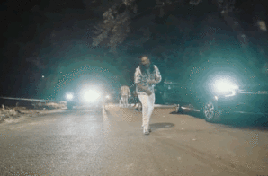 FMB DZ Pays Tribute To His Fans in a New Video