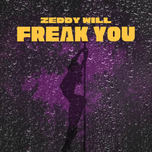 unnamed-38-500x500 Zeddy Will and DJ Smallz 732 Deliver Summer Anthem “Freak You”  