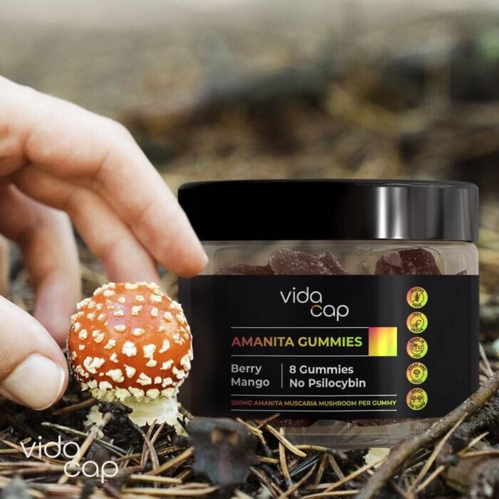 image_3-1 Embracing the Benefits of Amanita Gummies: Unveiling the Power of Mushroom Supplements   