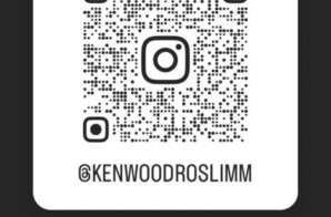 Unveiling the Creative Journey: An Inside Look at the Multifaceted World of Woodroslimm