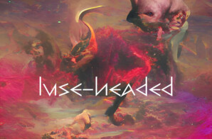 Aanderaj® – “LUSE-HEADED”